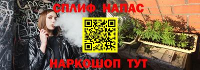 прущие грибы Сланцы
