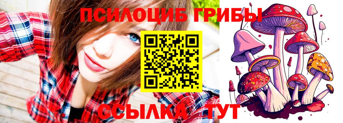 Галлюциногенные грибы Psilocybe  Вход с VPN  Нефтекумск 